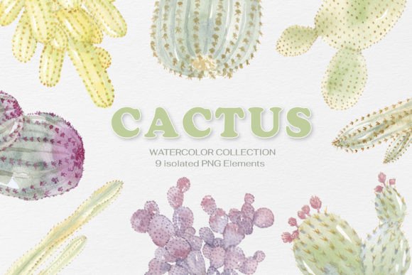 Cactus Watercolor Clipart PNG Collection: A Versatile Resource for Creative Projects