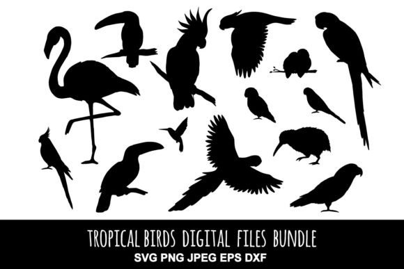 Set of Bird Silhouette SVG PNG JPEG EPS