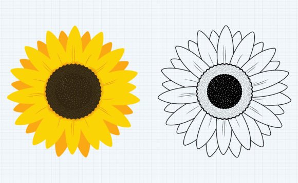 Sunflower Coloring Page for Creative Projects